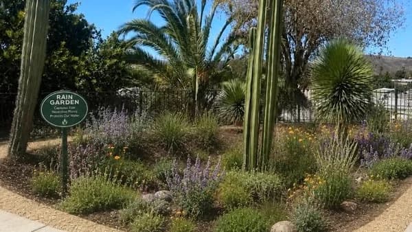 Rain Garden Workshop