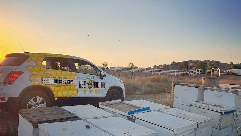 BeeDoctor Bee Removal