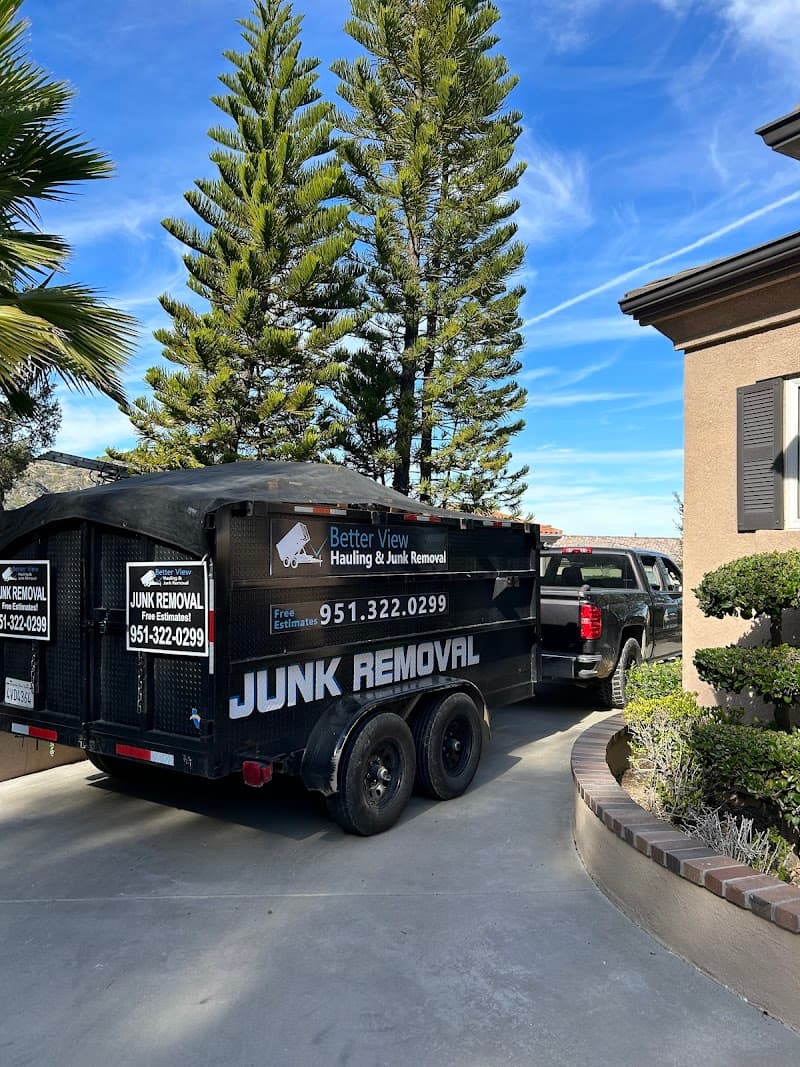 Better View Hauling & Junk Removal