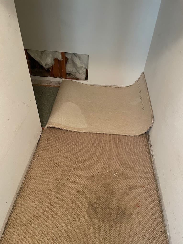 Cali's Choice Plumbing & Restoration - 24 Hour Emergency Plumber