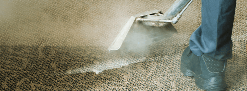 Early Bird Carpet Cleaners
