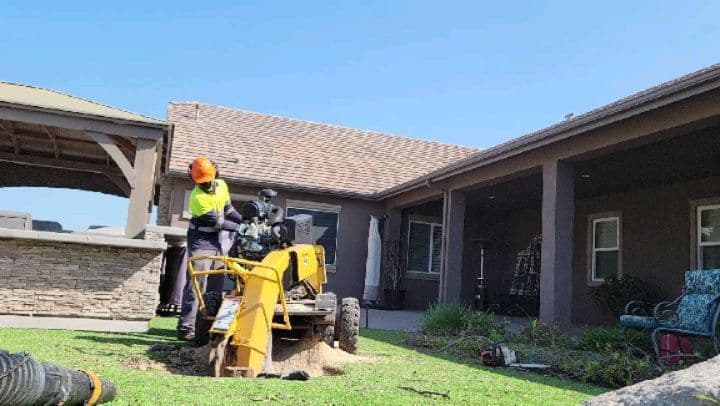 Gabe's Tree Care