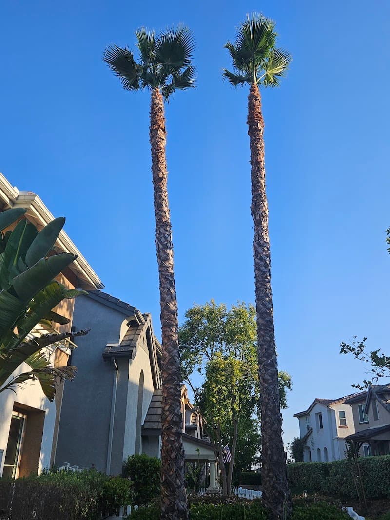 Gomez Tree Service
