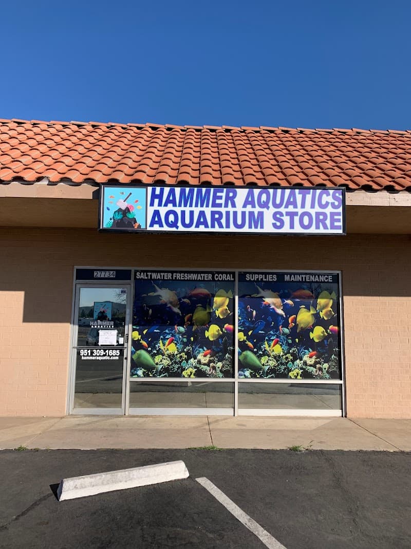 Hammer Aquatics