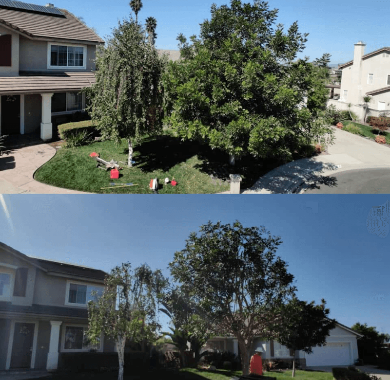Happe Tree Service