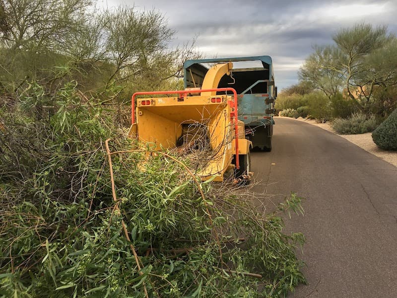 J&M Tree Service Lake Elsinore