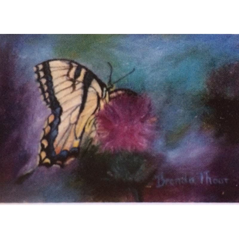 Janice E. York MFT/Pacific Crest Mediation