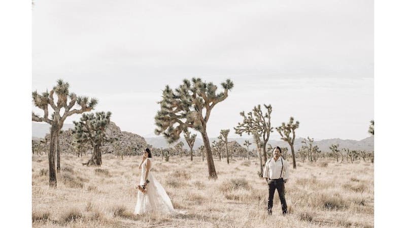 LaMarche Weddings