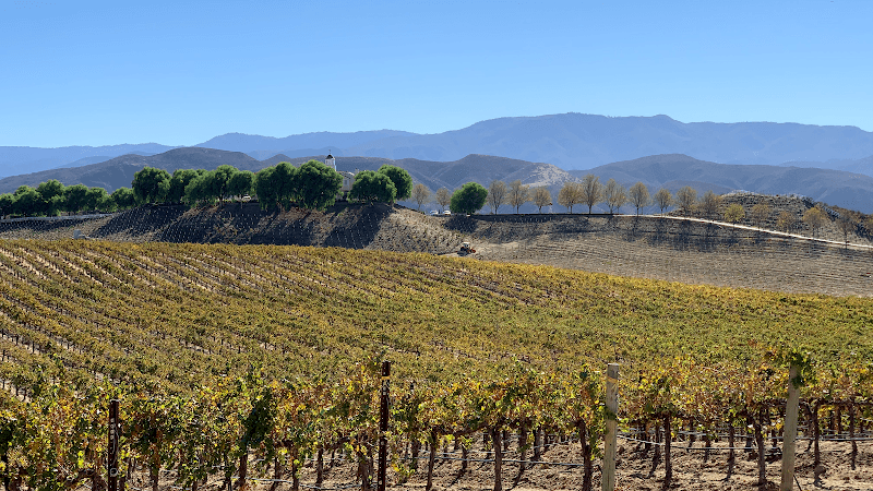 Leoness Cellars