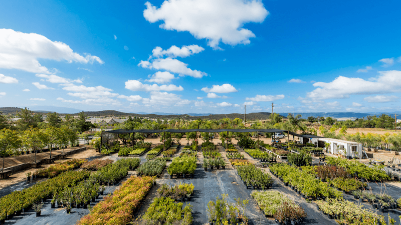 Murrieta Oaks Nursery