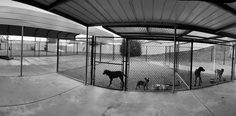 On A Hunt Kennels