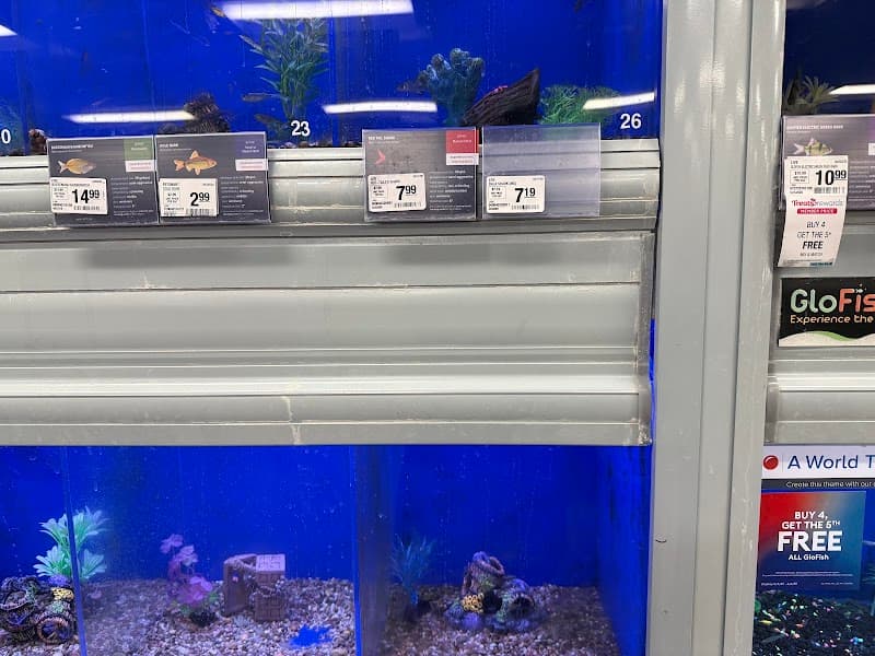 PetSmart Grooming