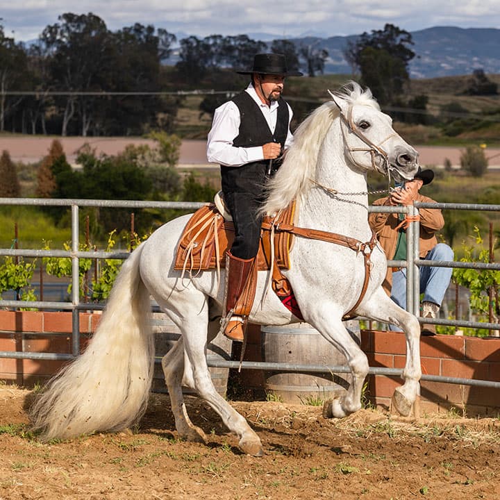 Raul Ramirez Bodegas Y Vinedos