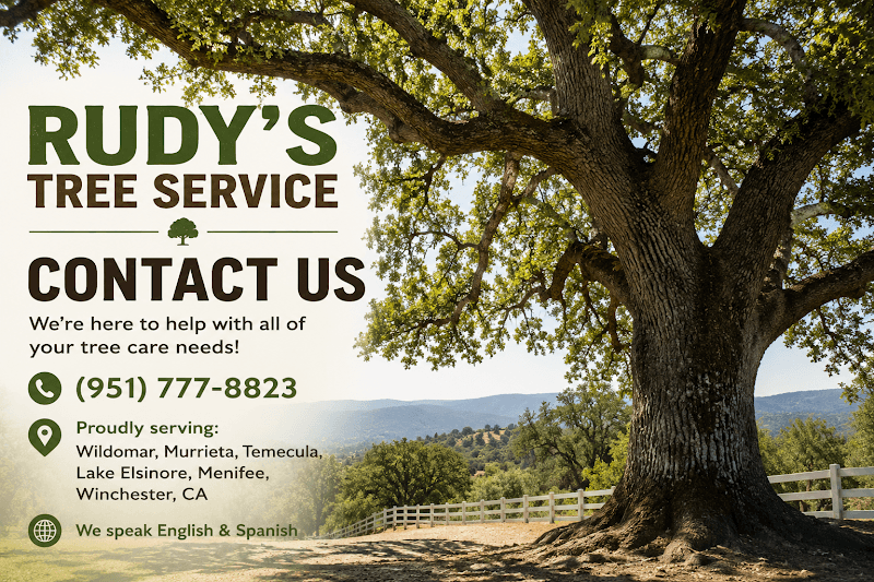 Rudy’s tree service