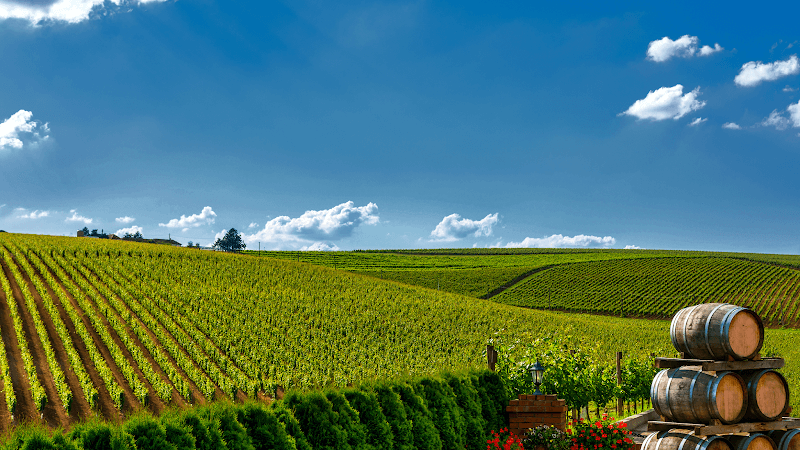 Shabaz Sandhu, DDS - Oral Surgery Associates of Temecula Valley