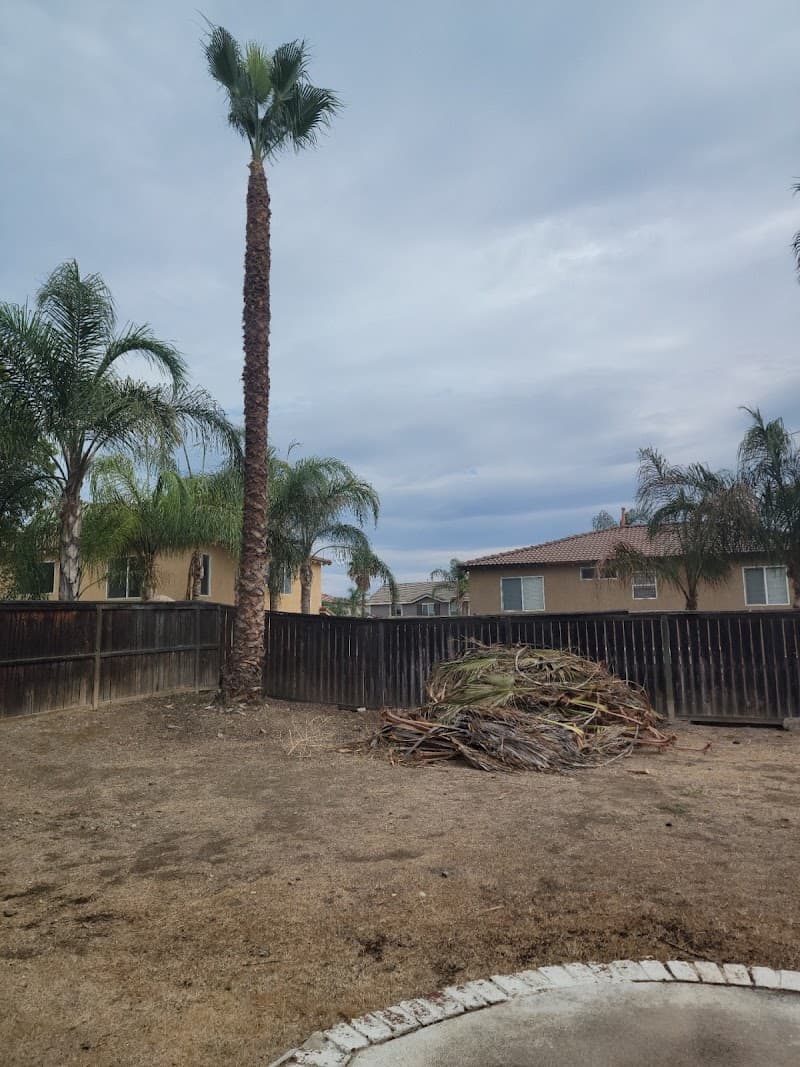 So Cal Tree Specialist LLC.