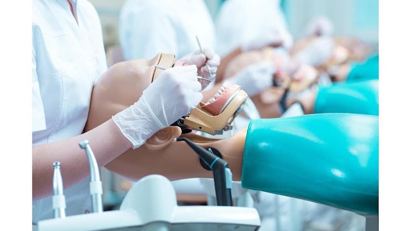 Sunshine Dental, Inc: Phillip Chien, DDS