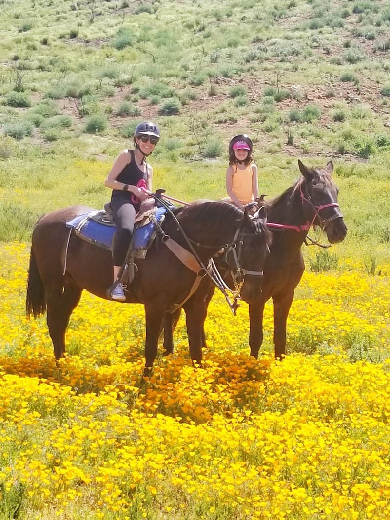 Susie Q Ranch