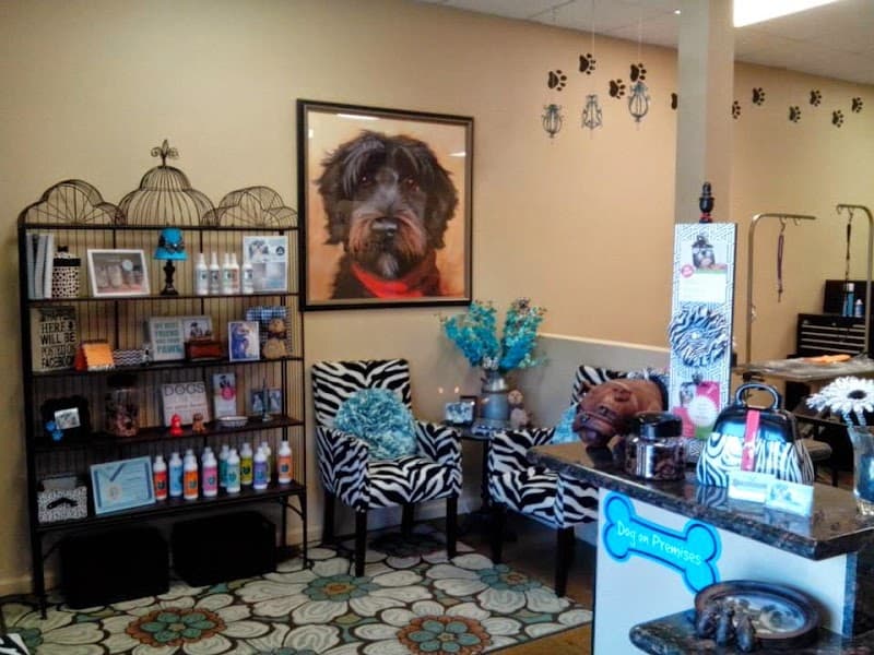 Temecula Pet Salon