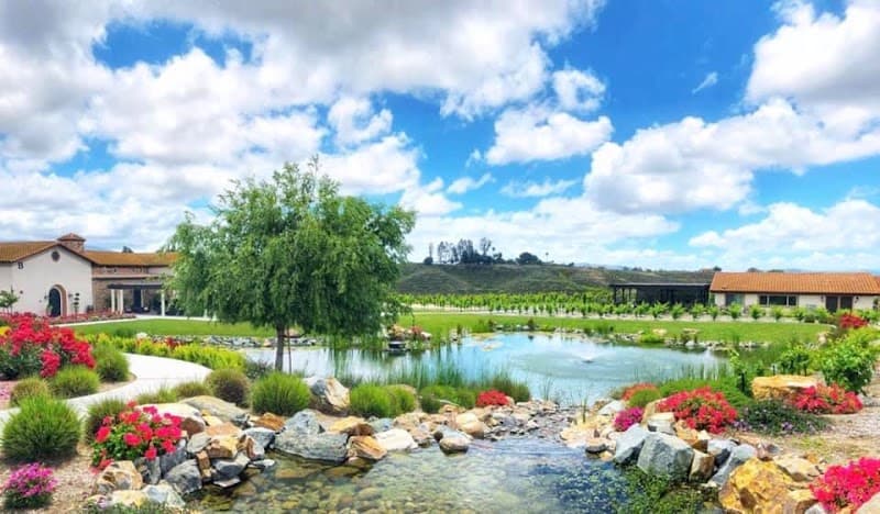 Truffle Pig Winery