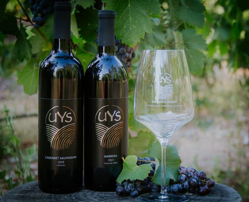 Uys Garagiste Vineyard and Winery