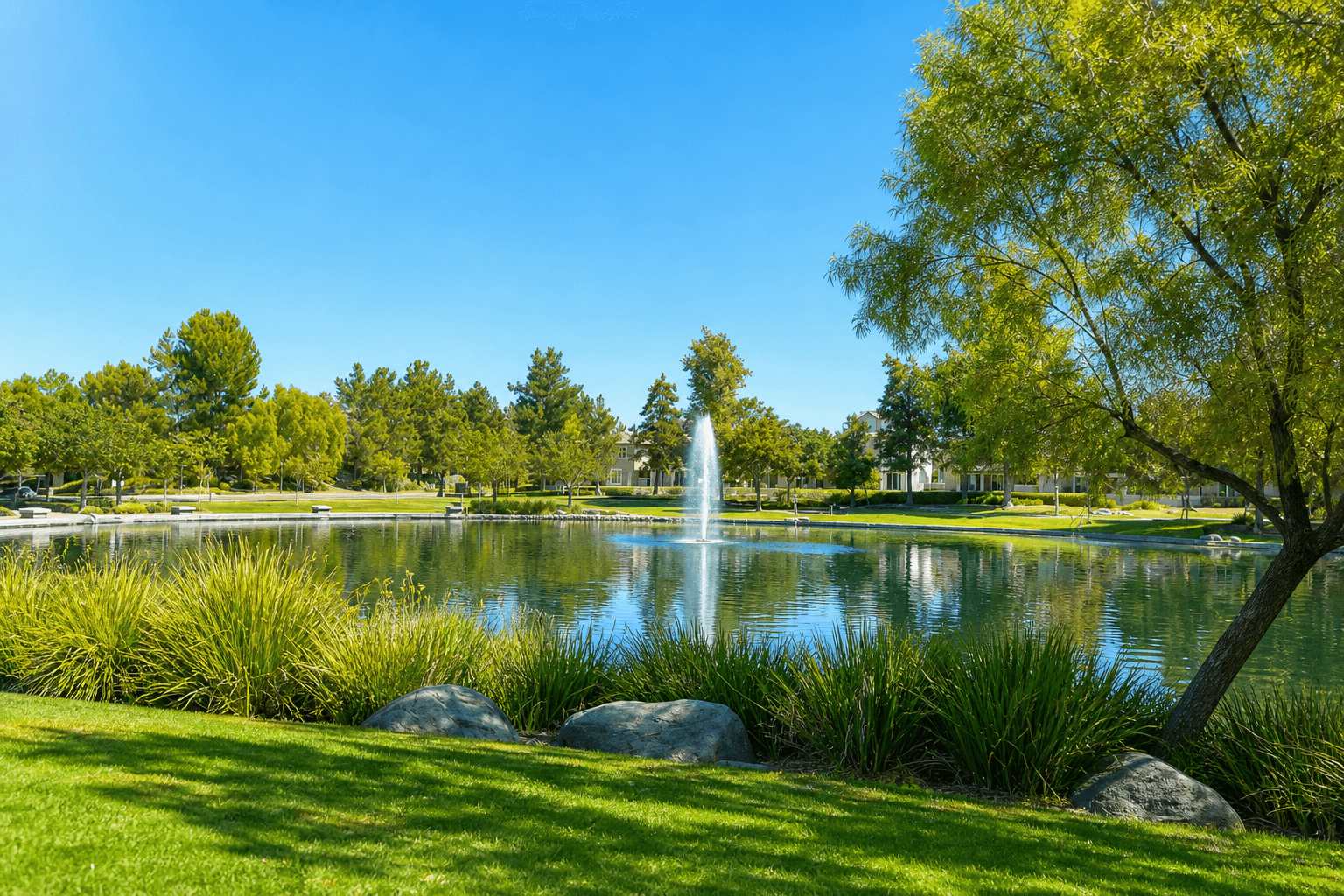 Harveston Lake Algae: Why Temecula's Closed Lake Blooms