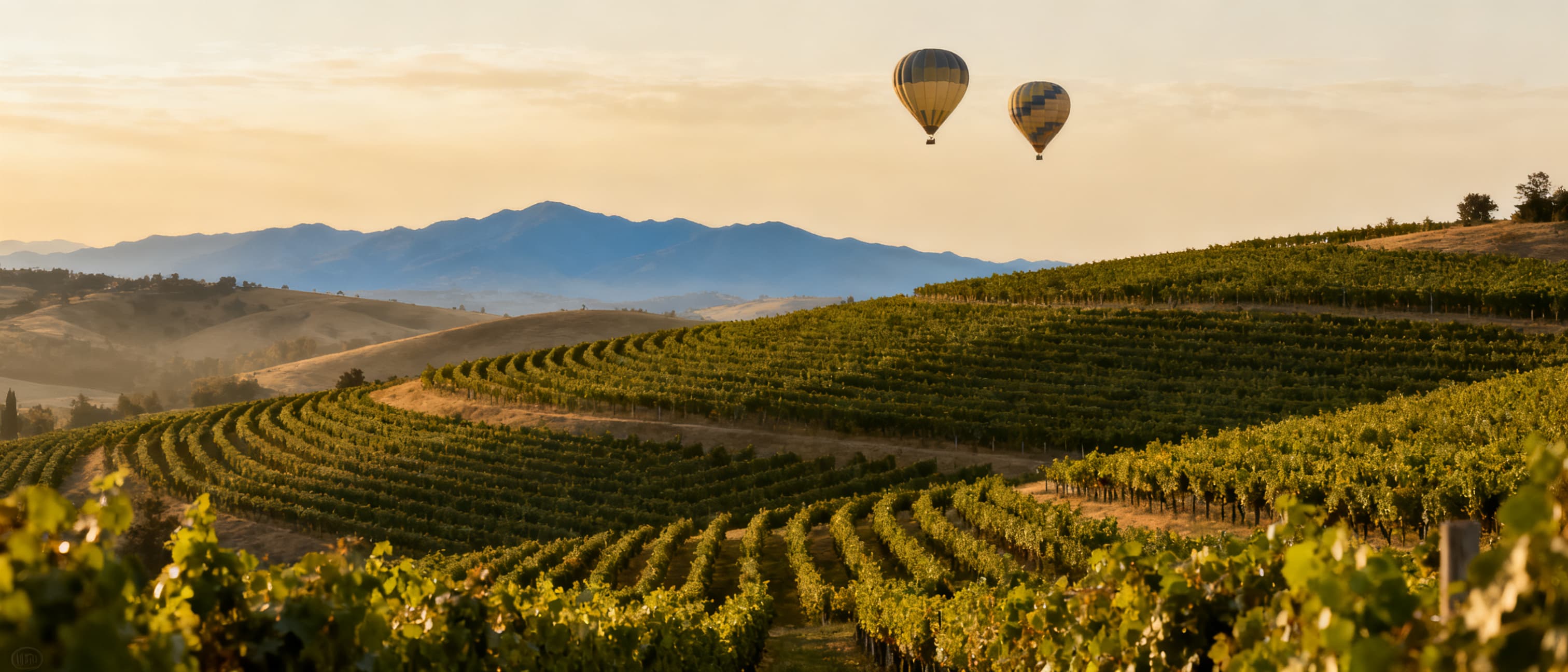 Hot air balloons drifting over Temecula Valley vineyard hills at golden hour