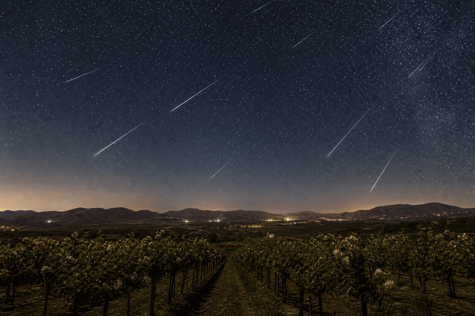 Summer Skywatching in Temecula: Where to Catch the Perseids